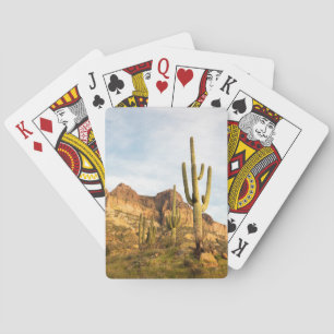 VS, Arizona, Tonto National Forest, Picketpost 2 Pokerkaarten