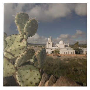 VS, Arizona, Tucson: Mission San Xavier del Bac 2 Tegeltje