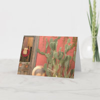 VS, Arizona, Tucson: Presidio Historic District 2
