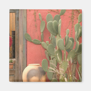 VS, Arizona, Tucson: Presidio Historisch District Magneet