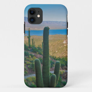 VS, Arizona. Uitzicht vanuit de ingang van Tonto iPhone 11 Hoesje