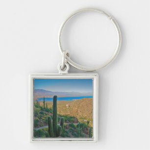 VS, Arizona. Uitzicht vanuit de ingang van Tonto Sleutelhanger