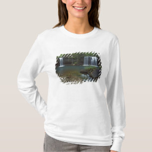 VS, Arkansas, Ozark-St Francis Nationaal T-shirt