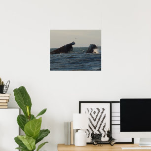 VS Atlantus Concrete Shipwreck Poster
