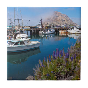 VS, Californië. Aangemeerde boten bij Morro Bay Tegeltje