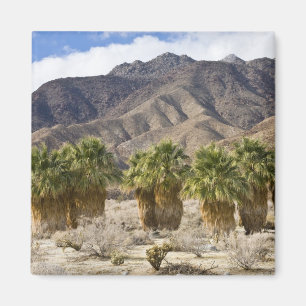 VS, Californië, Anza-Borrego Desert State Park. Magneet