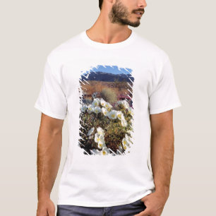 VS, Californië, Anza-Borrego DSP. Duin teunisbloem T-shirt