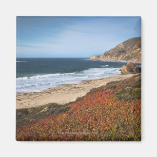 VS, Californië, Big Sur, Rode planten op het stran Magneet