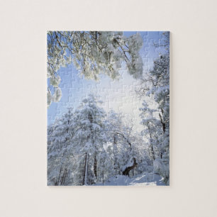 VS, Californië, Cleveland National Forest, Legpuzzel