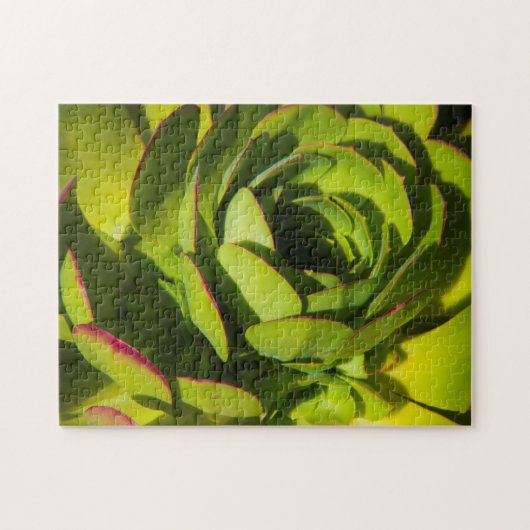 VS, Californië. Giant Lobelia Plant sluit af Legpuzzel (Horizontaal)