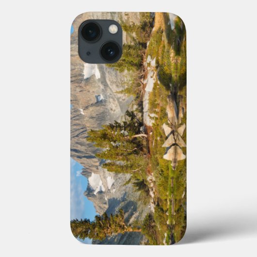 VS, Californië, Inyo National Forest 13 Case-Mate iPhone Case (Achterkant)