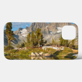 VS, Californië, Inyo National Forest 13 Case-Mate iPhone Case (Achterkant (horizontaal))