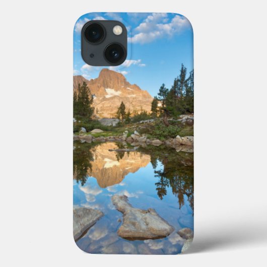 VS, Californië, Inyo National Forest. 2 Case-Mate iPhone Case (Achterkant)