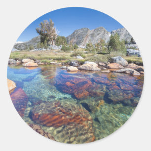 VS, Californië, Inyo National Forest 4 Ronde Sticker