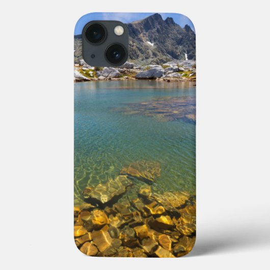 VS, Californië, Inyo National Forest 8 Case-Mate iPhone Case (Achterkant)
