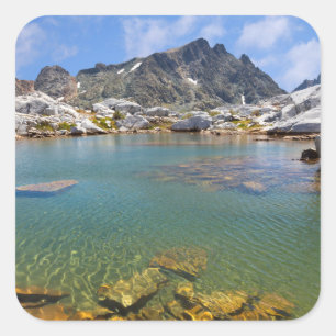 VS, Californië, Inyo National Forest 8 Vierkante Sticker