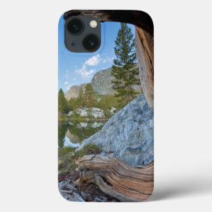 VS, Californië, Inyo National Forest. Oude den iPhone 13 Hoesje