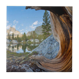 VS, Californië, Inyo National Forest. Oude den Tegeltje