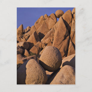 VS, Californië, Joshua Tree National Park. Briefkaart