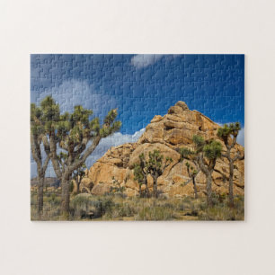 VS, Californië, Joshua Tree National Park Legpuzzel