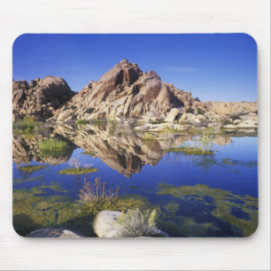 VS, Californië, Joshua Tree National Park, Muismat