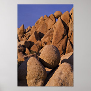 VS, Californië, Joshua Tree National Park. Poster