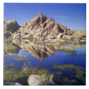 VS, Californië, Joshua Tree National Park, Tegeltje