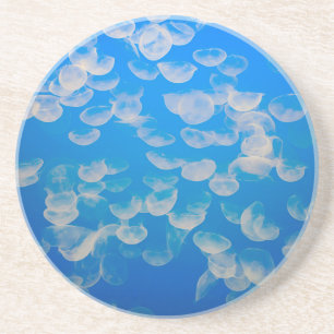 VS, Californië. kwallen in de Monterey Bay Zandsteen Onderzetter