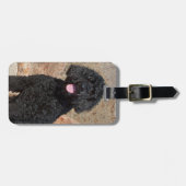 VS, Californië. Labradoodle Sitting Bagagelabel (Voorkant horizontaal)