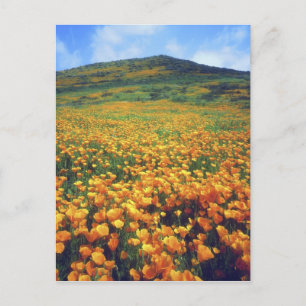 VS, Californië, Lake Elsinore. Californië Briefkaart