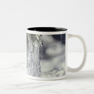 VS, Californië, Lake Tahoe. IJsjes over Tweekleurige Koffiemok