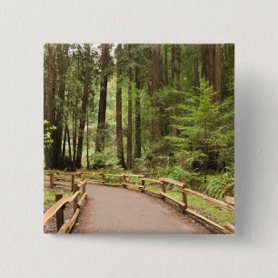 VS, Californië, Marin County, Muir Woods Vierkante Button 5,1 Cm