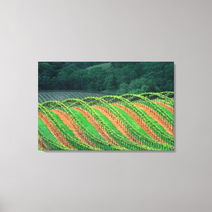 VS, Californië, Mendocino County, een getralied Canvas Afdruk