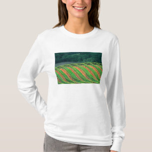 VS, Californië, Mendocino County, een getraliede T-shirt