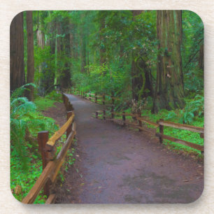VS, Californië. Pad tussen Redwoods Bier Onderzetter