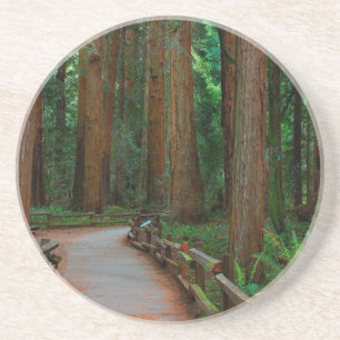 VS, Californië. Pad tussen Redwoods in Muir Zandsteen Onderzetter