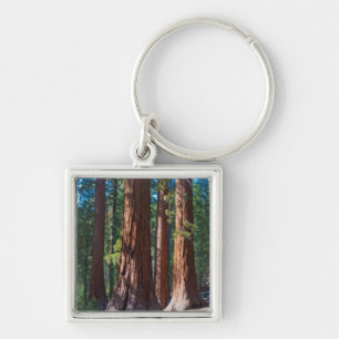 VS, Californië. Redwood boomstammen, Mariposa Sleutelhanger