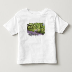 VS, Californië, Redwood National Park. Onverharde  Kinder Shirts