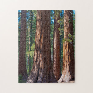 VS, Californië. Rodeboom boomstammen, Mariposa Legpuzzel