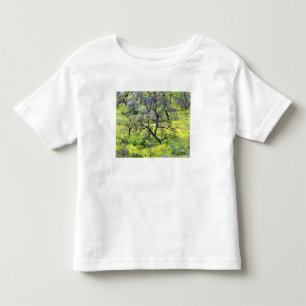 VS, Californië, San Diego. Een verbrande eikenbos Kinder Shirts
