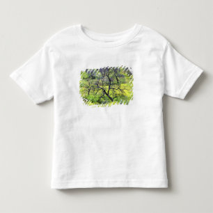 VS, Californië, San Diego. Een verbrande eikenbos Kinder Shirts