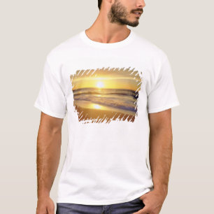 VS, Californië, San Diego. La Jolla Shores T-shirt