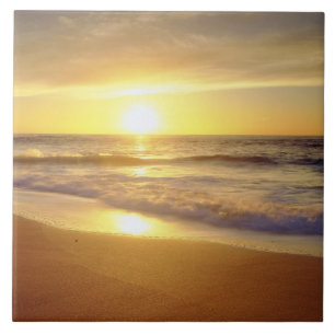 VS, Californië, San Diego. La Jolla Shores Tegeltje