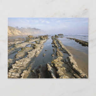 VS, Californië, Santa Barbara, Henry's Beach. Briefkaart
