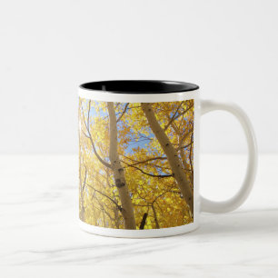 VS, Californië, Sierra Nevada-gebergte. Herfst Tweekleurige Koffiemok