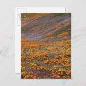 VS, Californië, Tehachapi-bergen, 2 Briefkaart (Voorkant / Achterkant)