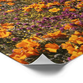 VS, Californië, Tehachapi-bergen, 2 Poster (Hoek)