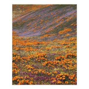 VS, Californië, Tehachapi Mountains, 2 Foto Afdruk