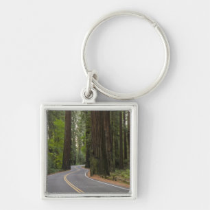VS, Californië, weg door het bos van sequoia Sleutelhanger