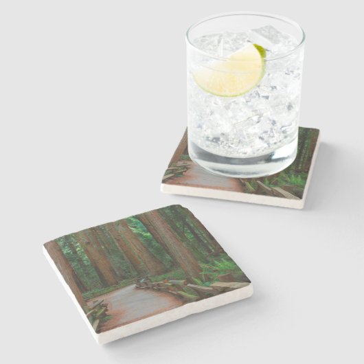 VS, Californië. Weg tussen kustmammoetbomen in Mui Stenen Onderzetter (Zijkant)